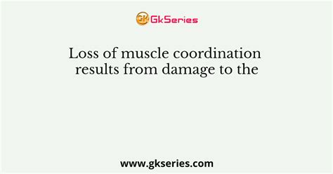 loss of muscle coordination results from damage to the